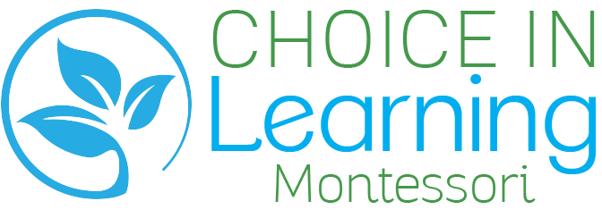 Choice in Learning