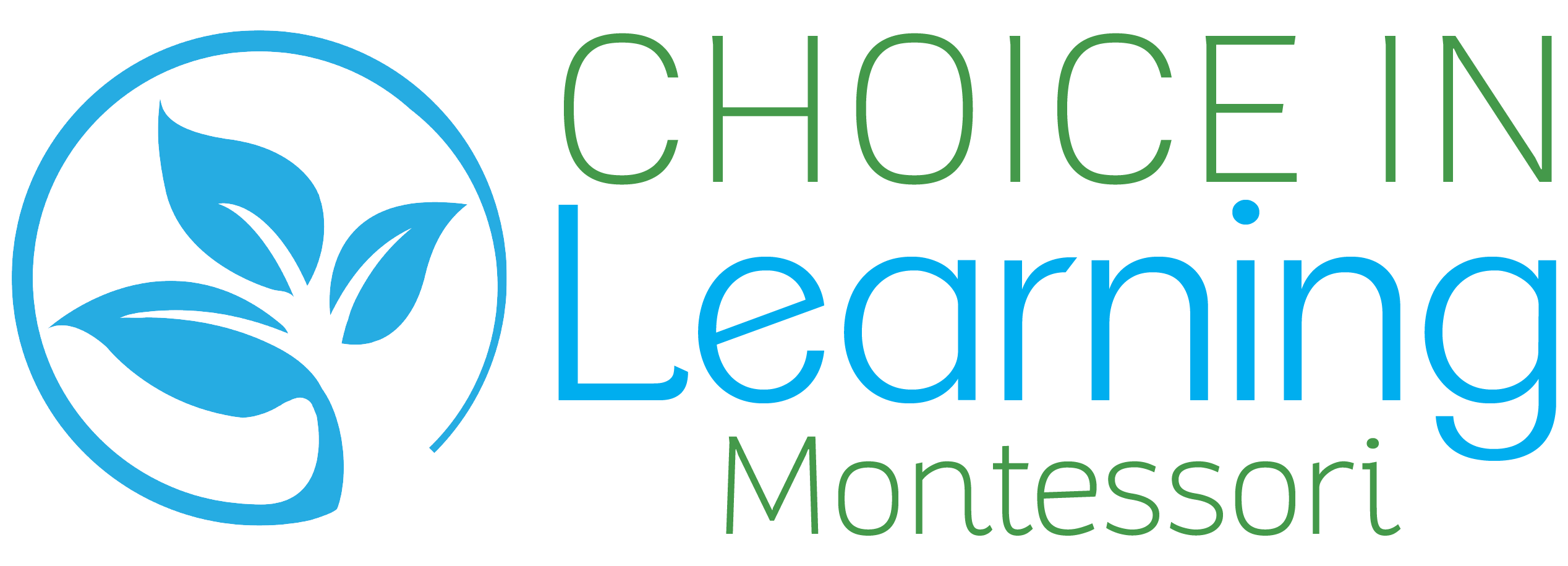 Choice in Learning